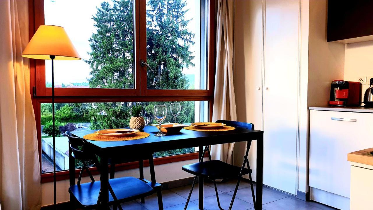 アヌシーLe Bellevue A 10Min Du Centre A Piedアパートメント エクステリア 写真