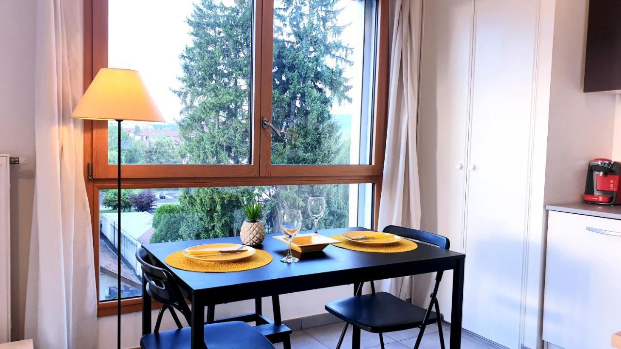 アヌシーLe Bellevue A 10Min Du Centre A Piedアパートメント エクステリア 写真