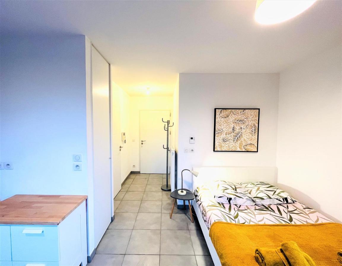 アヌシーLe Bellevue A 10Min Du Centre A Piedアパートメント エクステリア 写真